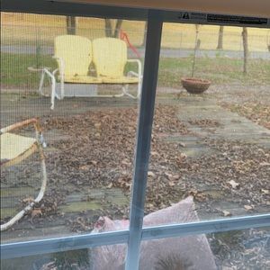 Meet your Posher, Jerry